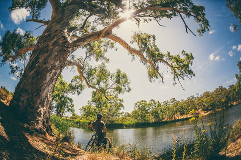 Sturt Gorge Recreation Park - Accommodation Coffs Harbour 0