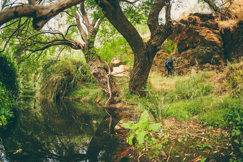 Sturt Gorge Recreation Park - Accommodation Coffs Harbour 1