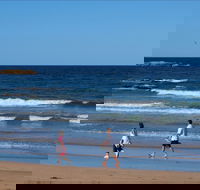 Surf Beach Batemans Bay - Accommodation Coffs Harbour
