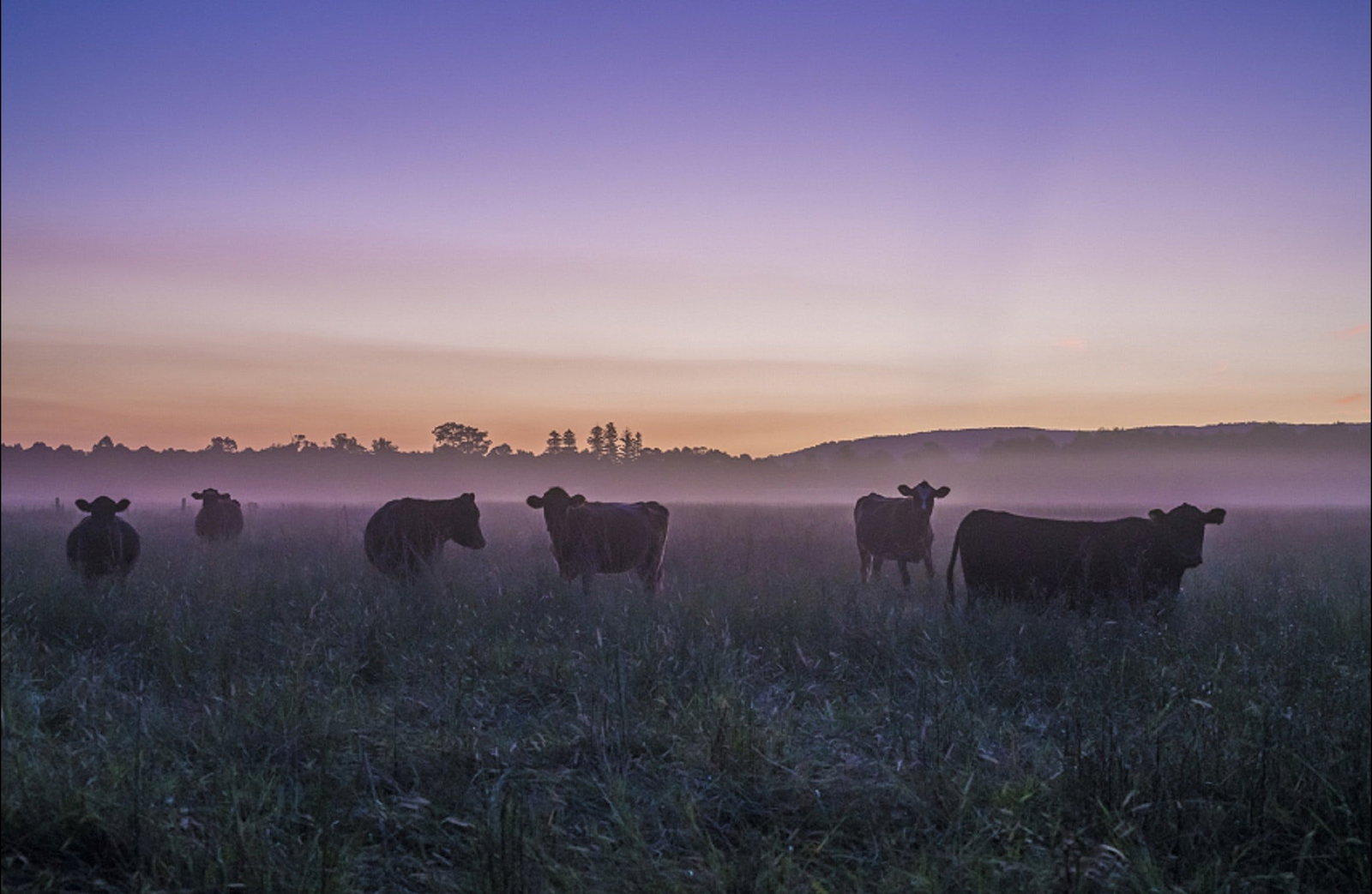 Tapitallee NSW Accommodation Coffs Harbour