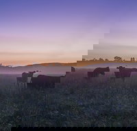 Tapitallee - Accommodation Coffs Harbour