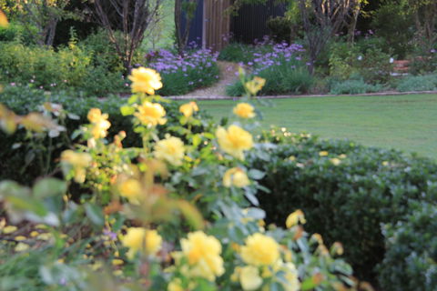 The Bath House Garden - Accommodation Coffs Harbour 1