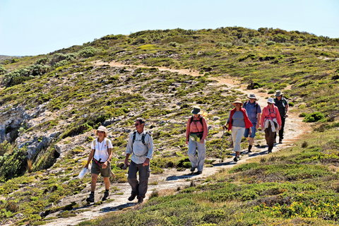 The Sole Walk At Hillocks Drive - Accommodation Coffs Harbour 0