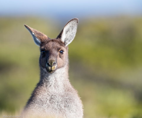 The Sole Walk At Hillocks Drive - Accommodation Coffs Harbour 1