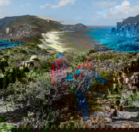 Torndirrup National Park - Accommodation Coffs Harbour