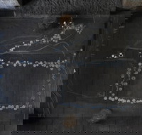 Treelines Track - Accommodation Coffs Harbour