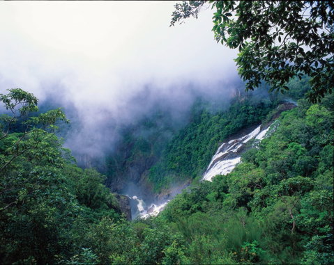 Tully Falls And Tully Gorge - Accommodation Coffs Harbour 0