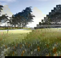 Twin Creeks Golf and Country Club - Accommodation Coffs Harbour