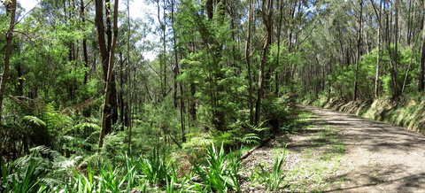 Tyers Park - Accommodation Coffs Harbour 0