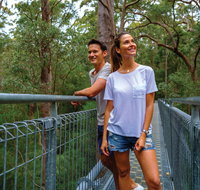 Valley of the Giants Tree Top Walk - Accommodation Coffs Harbour