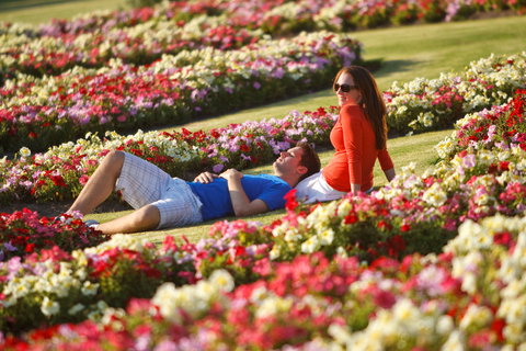 Victoria State Rose Garden At Werribee Park - Accommodation Coffs Harbour 1