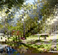 Wangaratta's Significant Trees Walks - Accommodation Coffs Harbour