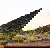 Whyalla Conservation Park - Accommodation Coffs Harbour