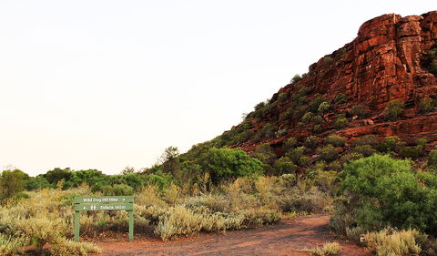 Whyalla Conservation Park - Accommodation Coffs Harbour 0