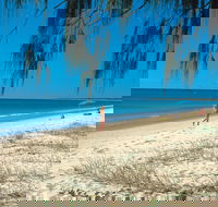 Woodgate Beach Park and Playground - Accommodation Coffs Harbour