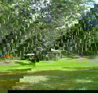 Woolgoolga Creek Picnic Area - Accommodation Coffs Harbour