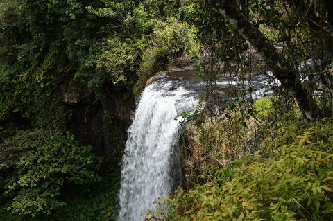 Zillie Falls - Accommodation Coffs Harbour 0
