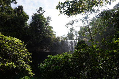 Zillie Falls - Accommodation Coffs Harbour 1