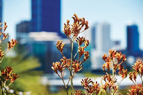 A Day In Perth - Accommodation Coffs Harbour 1