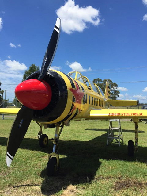 Aerohunter - Accommodation Coffs Harbour 0