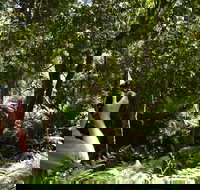 Alfred National Park - Accommodation Coffs Harbour