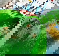 AquaPulse - Accommodation Coffs Harbour