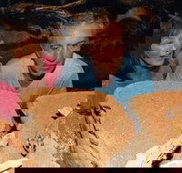 At the Creek Visitor Information Centre - Accommodation Coffs Harbour