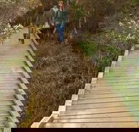 Balcombe Creek Estuary Boardwalk - Accommodation Coffs Harbour