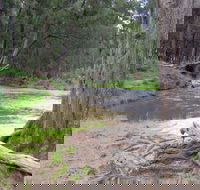 Bangadilly National Park - Accommodation Coffs Harbour
