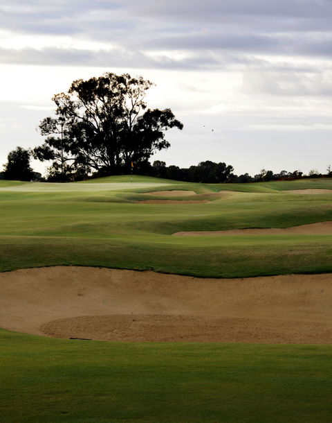 Black Bull Golf Course - Accommodation Coffs Harbour 1