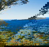Blackbutt Lookout Picnic Area - Accommodation Coffs Harbour