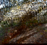 Booderee National Park Munyunga Waraga Dhugan Walking Trail - Accommodation Coffs Harbour