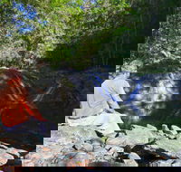 Booloumba Falls Walk Conondale National Park - Accommodation Coffs Harbour