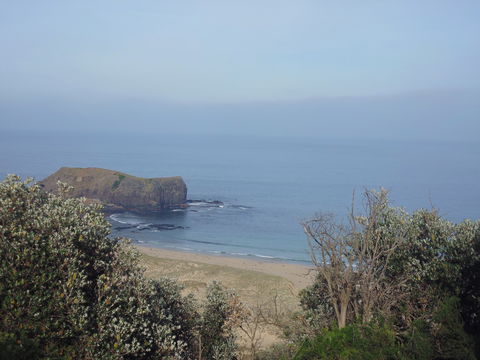 Bushrangers Bay - Accommodation Coffs Harbour 0