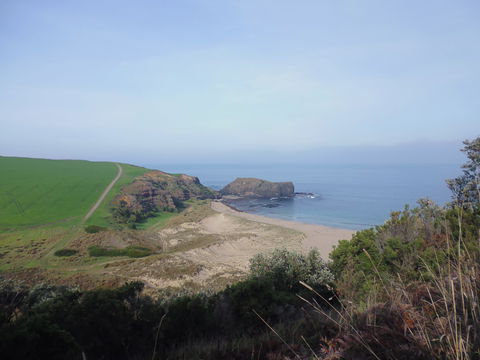 Bushrangers Bay - Accommodation Coffs Harbour 1