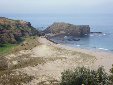Bushrangers Bay - Accommodation Coffs Harbour 2