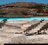 Cape Le Grand National Park - Accommodation Coffs Harbour