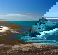 Cape Arid National Park - Accommodation Coffs Harbour