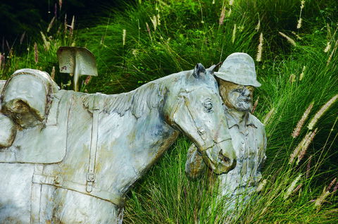 Centenary Park - Accommodation Coffs Harbour 0