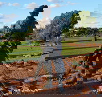 Cobar Miners Heritage Park - Accommodation Coffs Harbour