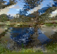 Cooleman Ridge - Accommodation Coffs Harbour