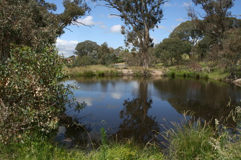 Cooleman Ridge - Accommodation Coffs Harbour 0
