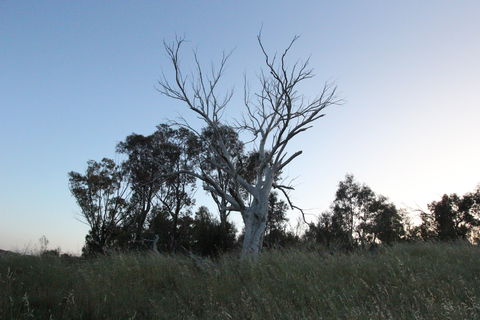 Cooleman Ridge - Accommodation Coffs Harbour 1