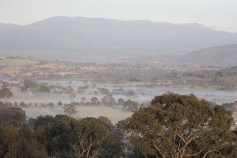 Cooleman Ridge - Accommodation Coffs Harbour 2