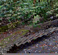 Coombadjha Nature Stroll - Accommodation Coffs Harbour