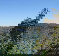 Cooks Nose Walking Track - Accommodation Coffs Harbour