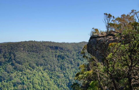 Cooks Nose Walking Track - Accommodation Coffs Harbour 0