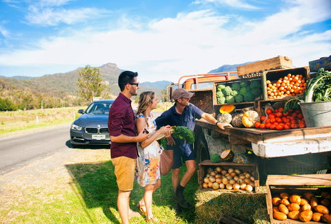 Darlington Park - Accommodation Coffs Harbour 1