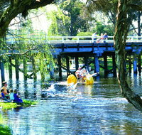 Denmark River - Accommodation Coffs Harbour