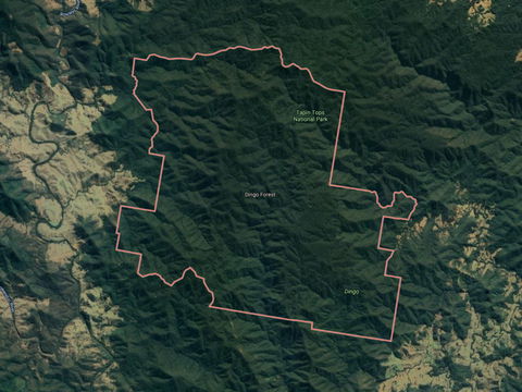 Dingo Forest - Accommodation Coffs Harbour 0